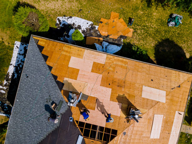 Best Storm Damage Roof Repair  in Bellevue, NE